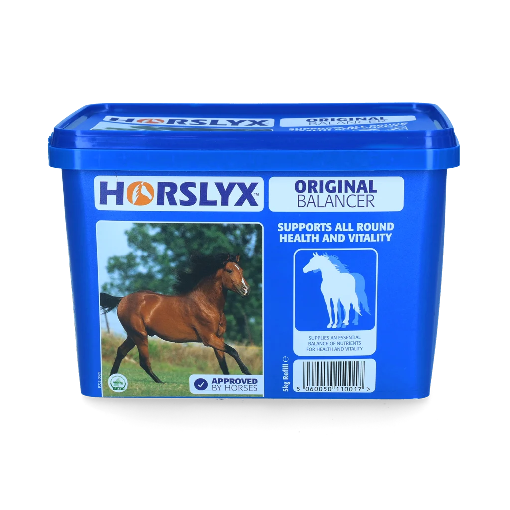 Blocco da leccare per cavalli come ricompensa, 5 kg – Horslyx Original - immagine 1