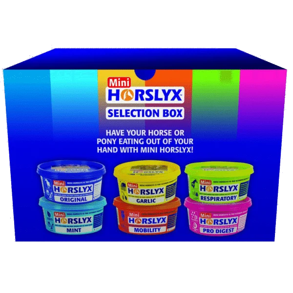 Leccornie da leccare per cavalli come ricompensa, 6 x 650 g – Horslyx Mini Selection Box