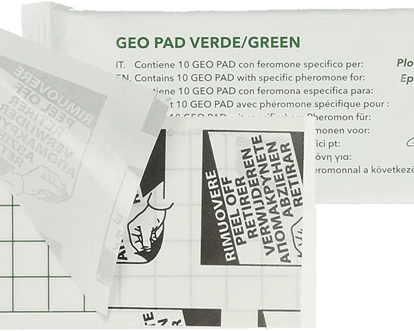 Piastra collante per tarme degli alimenti con feromone, 13 x 6 cm, 10 pezzi – Hofman Pest Control Geo