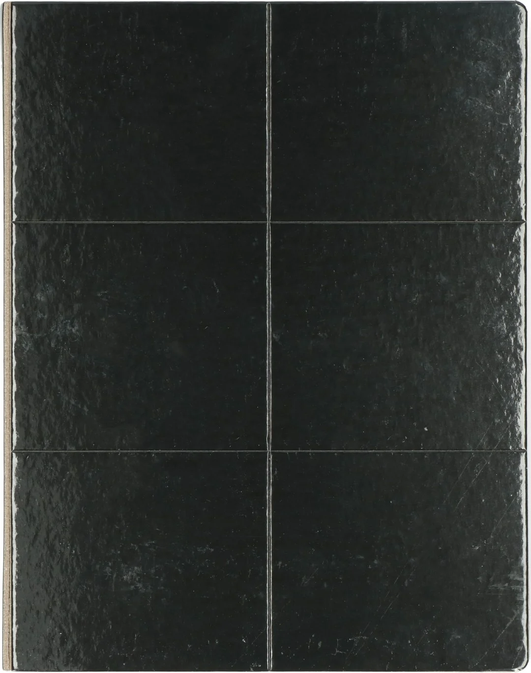 Piastra collante per insetti a libro, nera, 22 x 17 cm – Hofman Pest Control - immagine 3