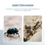 Piastra collante per insetti a libro, nera, 22 x 17 cm – Hofman Pest Control - immagine 5