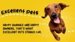 Snack da masticare per le articolazioni dei cani, 120 pezzi – Excellent Pets Dog Mobility Soft Chews - immagine 3