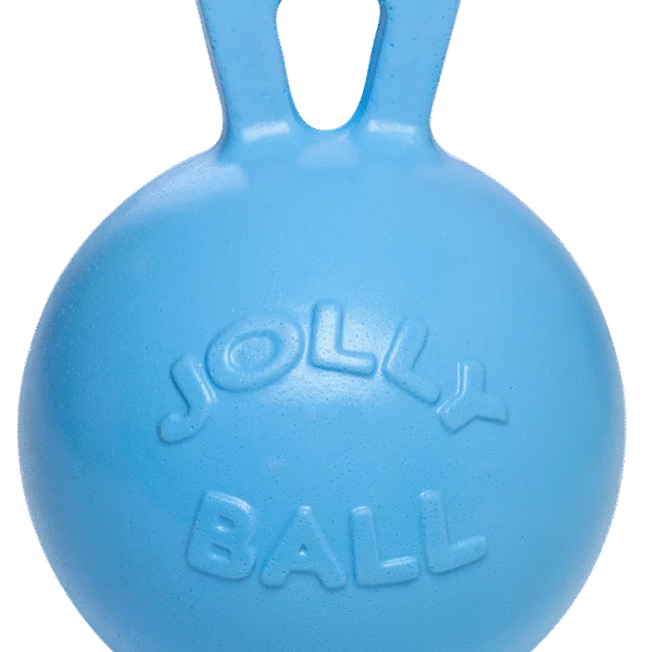 Palla da gioco per cavalli blu con fragranza ai mirtilli, 25 cm – Jolly Pets Jolly Ball
