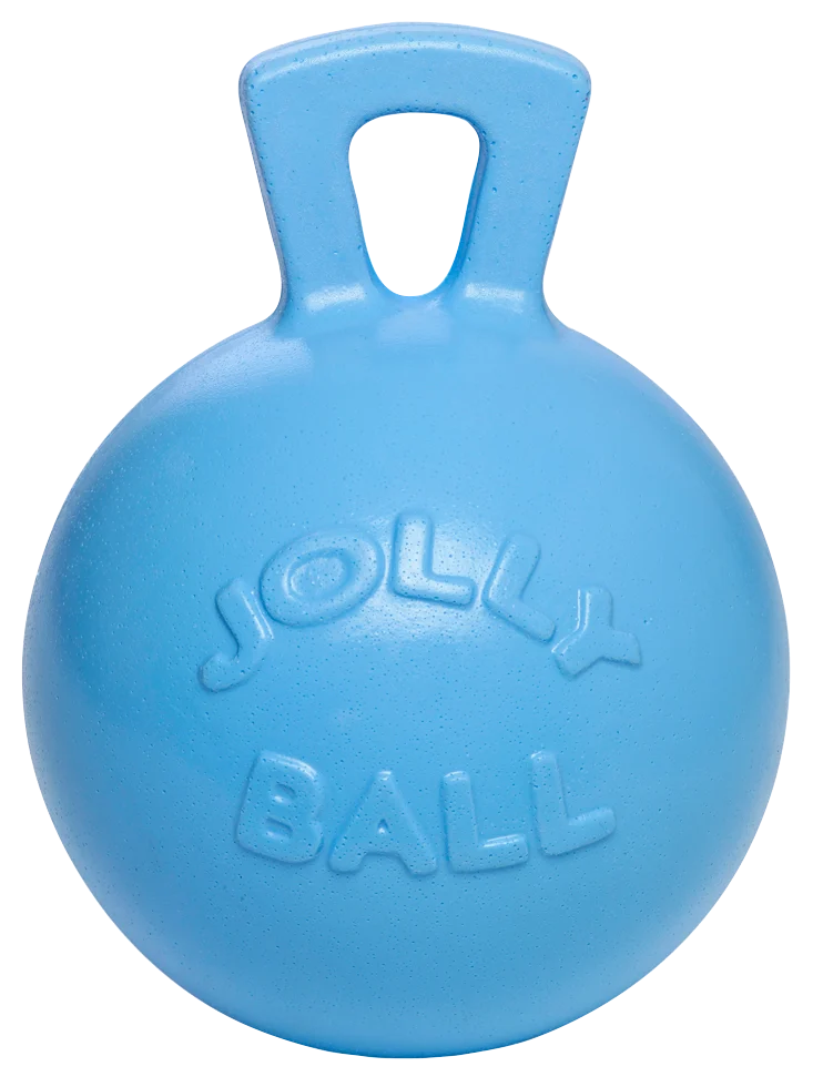 Palla da gioco per cavalli blu con fragranza ai mirtilli, 25 cm – Jolly Pets Jolly Ball - immagine 1