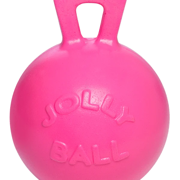 Palla per cavalli al profumo di bubblegum, rosa, 25 cm – Jolly Pets Jolly Ball