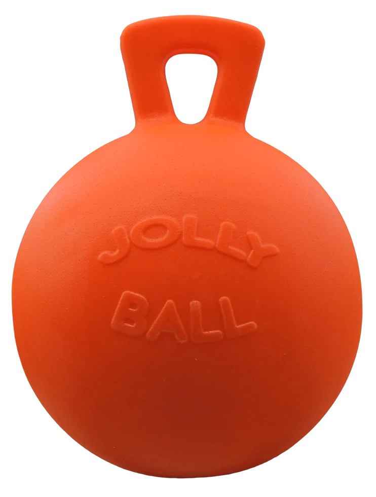 JOLL008AF.png Palla da gioco per cavalli arancione alla vaniglia, 25 cm – Jolly Pets Jolly Ball - immagine 1