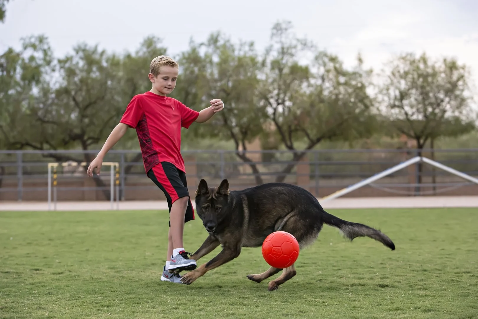 Palla da riporto per cani, arancione, 15 cm – Jolly Pets Jolly Soccer Ball - immagine 2