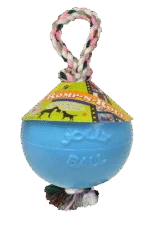 Palla per cani con corda, galleggiante, Mirtillo M (15 cm) – Jolly Pets Romp-n-Roll
