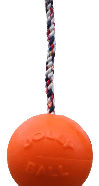 Palla per cani con corda, galleggiante, Vaniglia M (15 cm) – Jolly Pets Romp-n-Roll