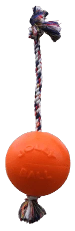 Palla per cani con corda, galleggiante, color vaniglia L (20 cm) – Jolly Pets Romp-n-Roll
