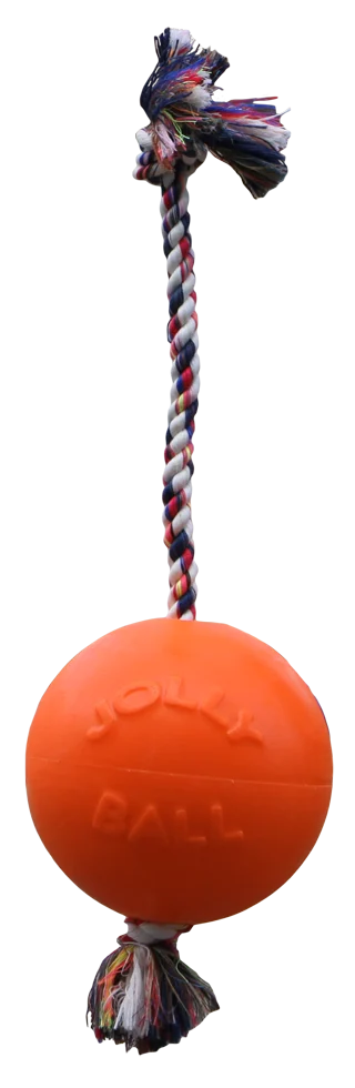 Palla per cani con corda, galleggiante, color vaniglia L (20 cm) – Jolly Pets Romp-n-Roll - immagine 1