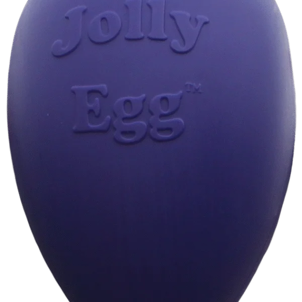 Uovo gioco per cani in plastica, viola, 30 cm – Jolly Pets Egg