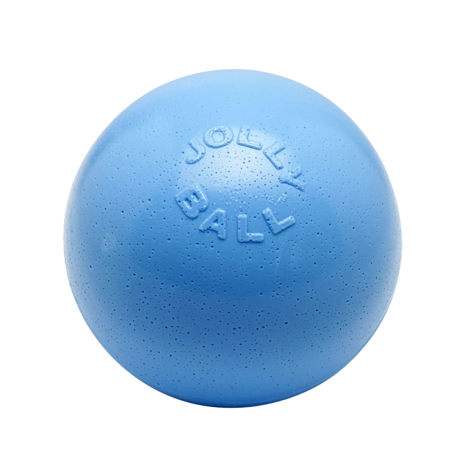Palla rimbalzante per cani, galleggiante, mirtillo M, 15 cm – Jolly Pets Bounce-n Play - immagine 1