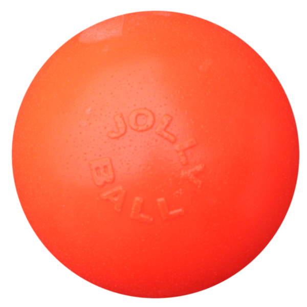 Palla per cani rimbalzante Vaniglia, 15 cm – Jolly Pets Bounce-n Play