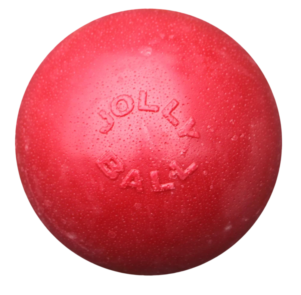 Palla rimbalzante per cani, galleggiante, rossa M, 15 cm – Jolly Pets Bounce-n-Play - immagine 1