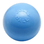 Palla rimbalzante per cani, galleggiante, mirtillo L, 20 cm – Jolly Pets Bounce-n Play