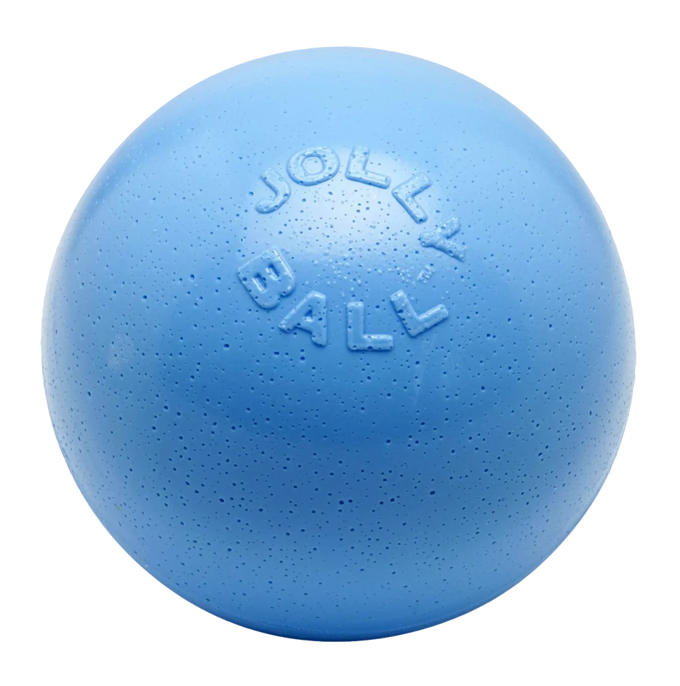 Palla rimbalzante per cani, galleggiante, mirtillo L, 20 cm – Jolly Pets Bounce-n Play - immagine 1