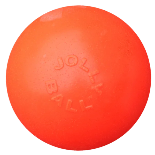 Pallina rimbalzante galleggiante per cani, Vaniglia L, 20 cm – Jolly Pets Bounce-n Play