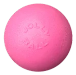Palla galleggiante per cani, 20 cm – Jolly Pets Jolly Bounce-n Play gomma da masticare L