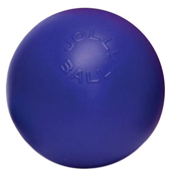 Palla per cani liscia blu, 15 cm – Jolly Pets Push-n-Play