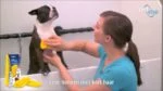 Spazzola in silicone per cani a pelo corto, gialla – Pet + Me - immagine 6