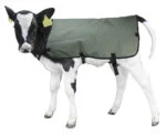 Coperta per vitelli impermeabile e traspirante, a marchio privato, 70 cm – Hofman Animal Care Calf Coat - immagine 4