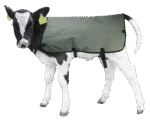 Coperta per vitelli impermeabile e traspirante, 70 cm – Hofman Animal Care Calf Coat - immagine 2