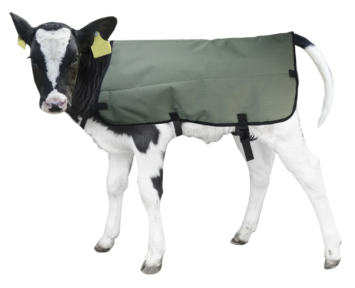 Coperta per vitelli impermeabile e traspirante, 70 cm – Hofman Animal Care Calf Coat - immagine 2
