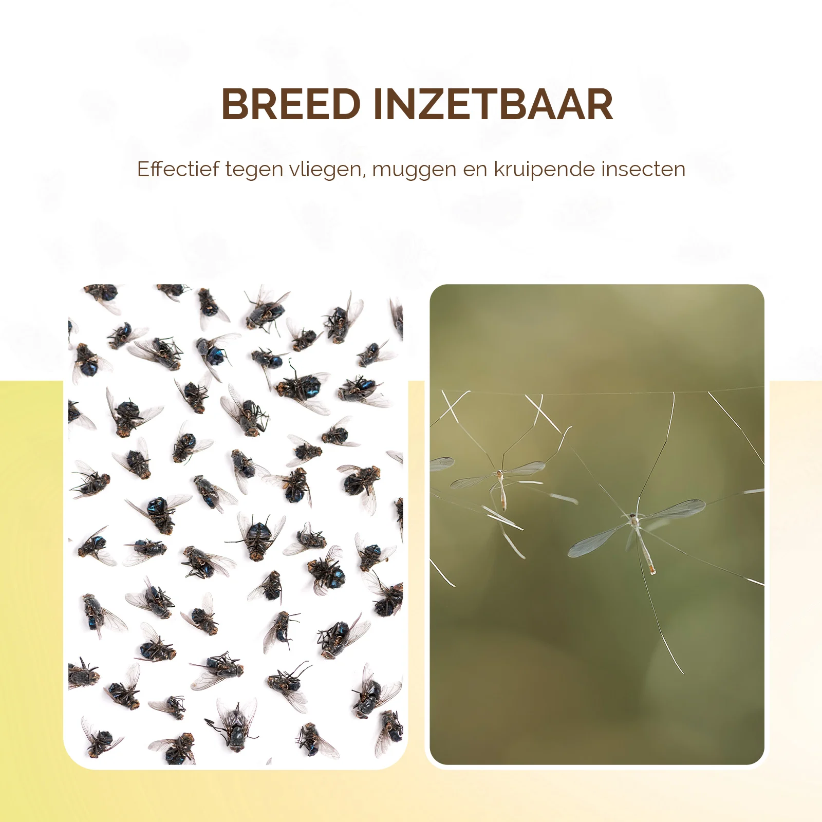 Piastra collante per trappola per insetti, senza veleno Ø 13,5 cm – Knock Pest - immagine 3