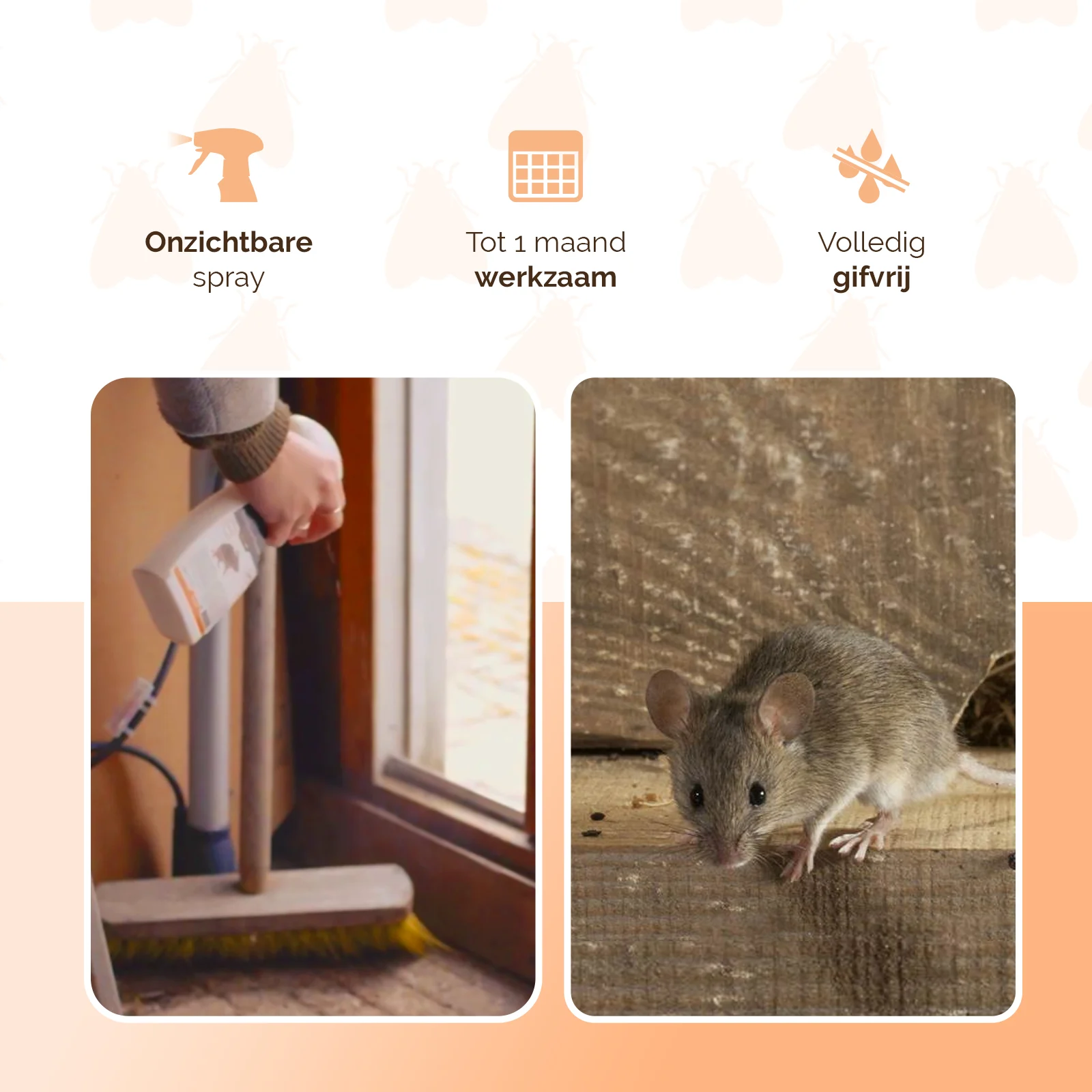 Spray repellente per topi da interno, 250 ml – Knock Pest BlijfWeg Muis - immagine 3