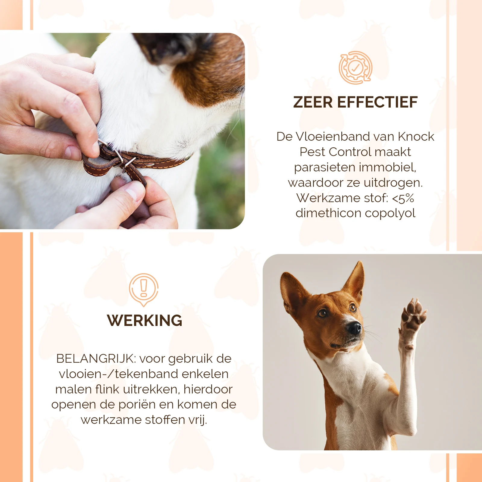 Collare antiparassitario per cani contro pulci e zecche, 33 cm, tedesco e inglese – Knock Pest - immagine 4