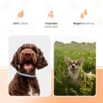 Collare antiparassitario per cani contro pulci e zecche, 59 cm, tedesco e inglese – Knock Pest - immagine 3