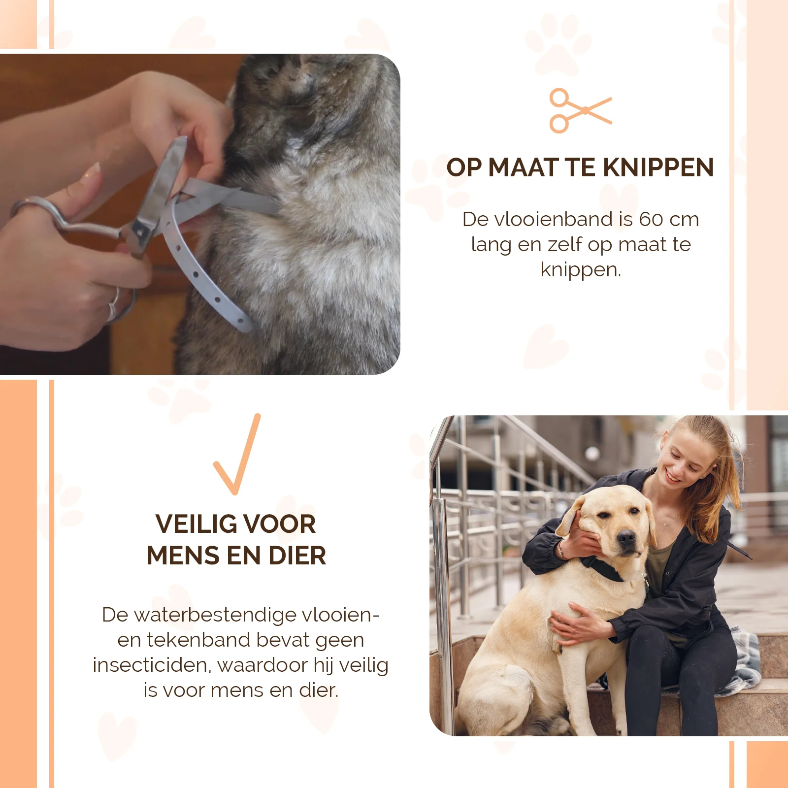 Collare antiparassitario per cani contro pulci e zecche, 59 cm, tedesco e inglese – Knock Pest - immagine 4