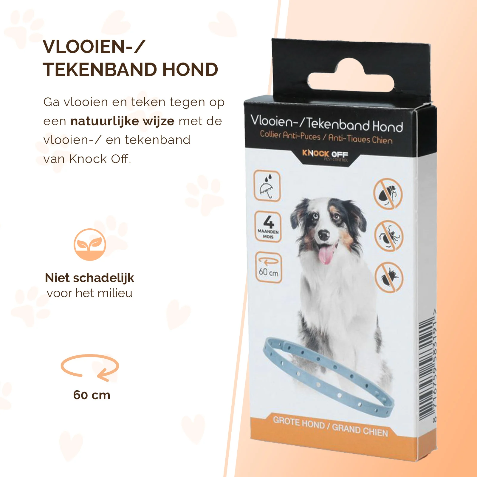 Collare antiparassitario per cani contro pulci e zecche, 59 cm, olandese e francese – Knock Pest - immagine 2