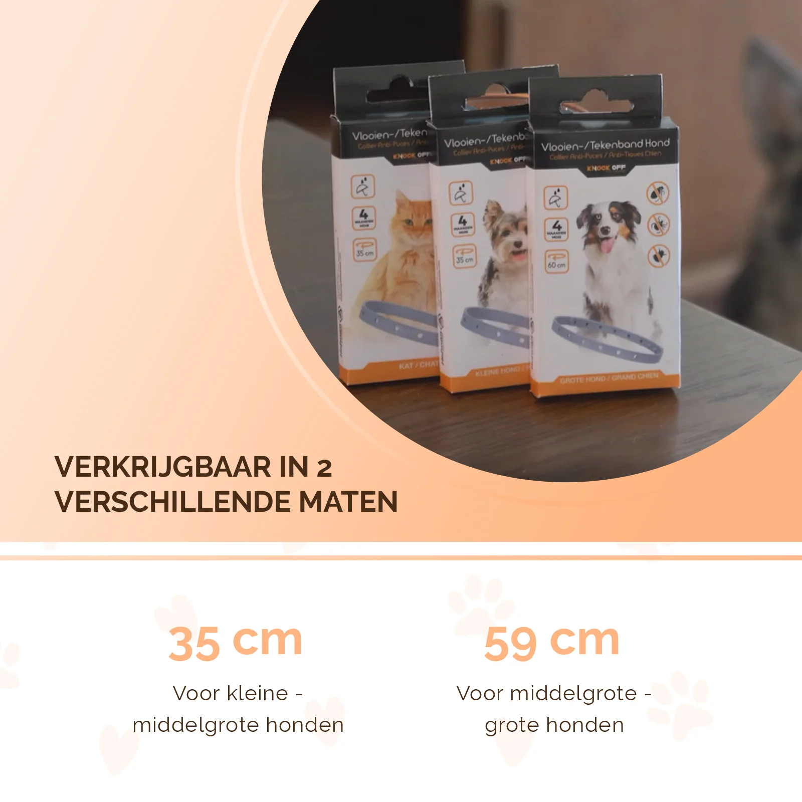 Collare antiparassitario per cani contro pulci e zecche, 59 cm, olandese e francese – Knock Pest - immagine 5