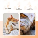 Pipette antipulci per cani sotto i 5 kg, contro le zecche, 2 x 2 ml – Knock Pest - immagine 3