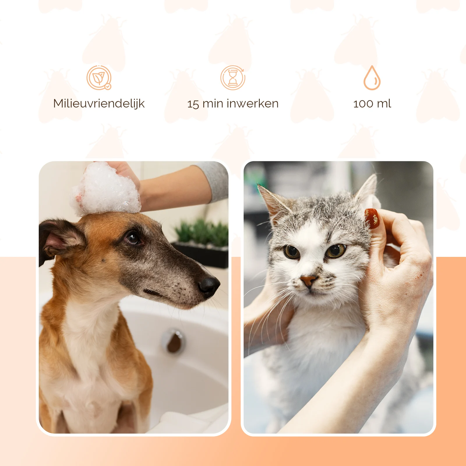 Shampoo antipulci per cani e gatti, 100 ml – Knock Pest - immagine 3