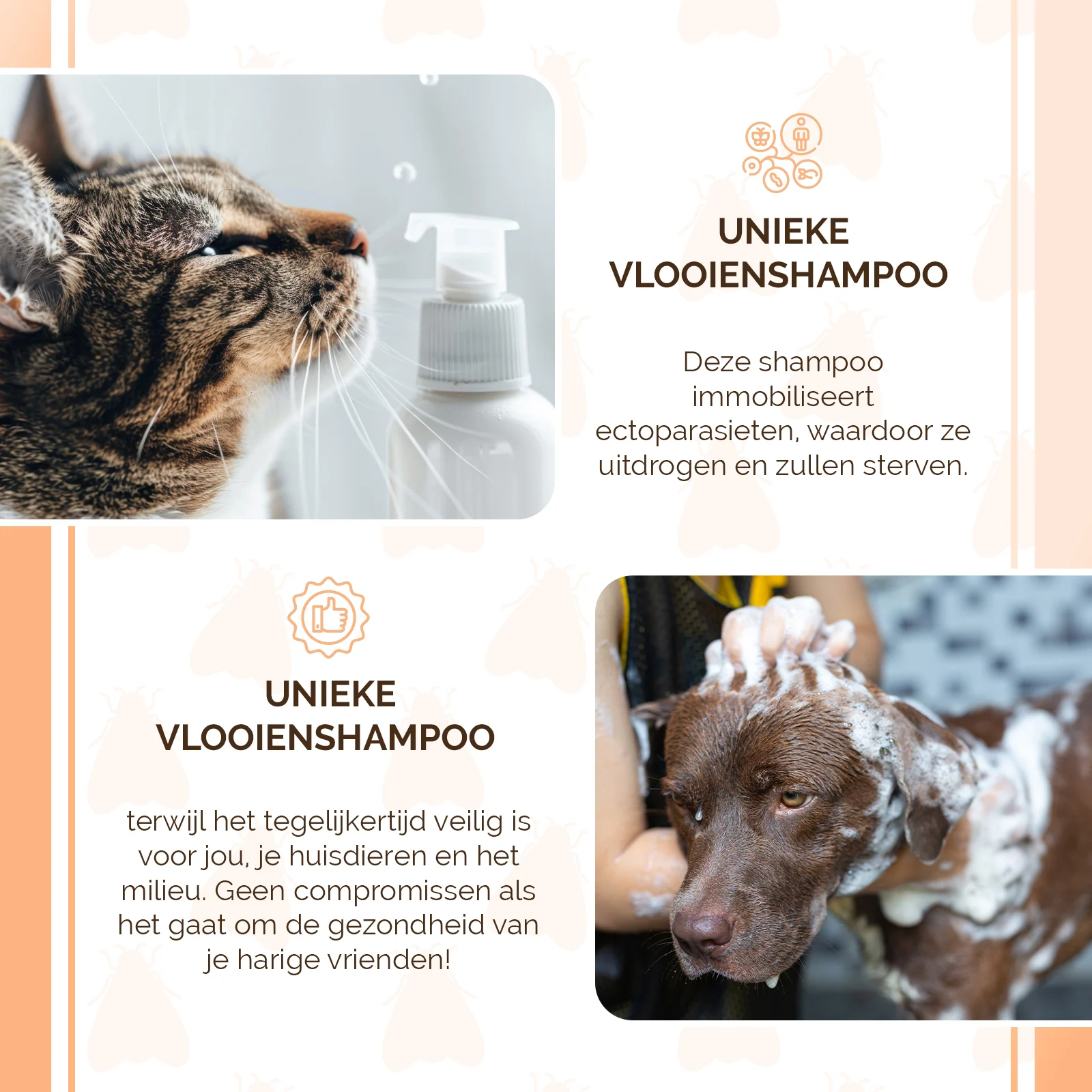 Shampoo antipulci per cani e gatti, 100 ml – Knock Pest - immagine 4