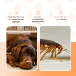 Shampoo antipulci per cani e gatti, 250 ml – Knock Pest - immagine 3
