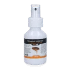 Spray ambientale contro pulci, pidocchi e zecche, 100 ml – Knock Pest Spray ambientale