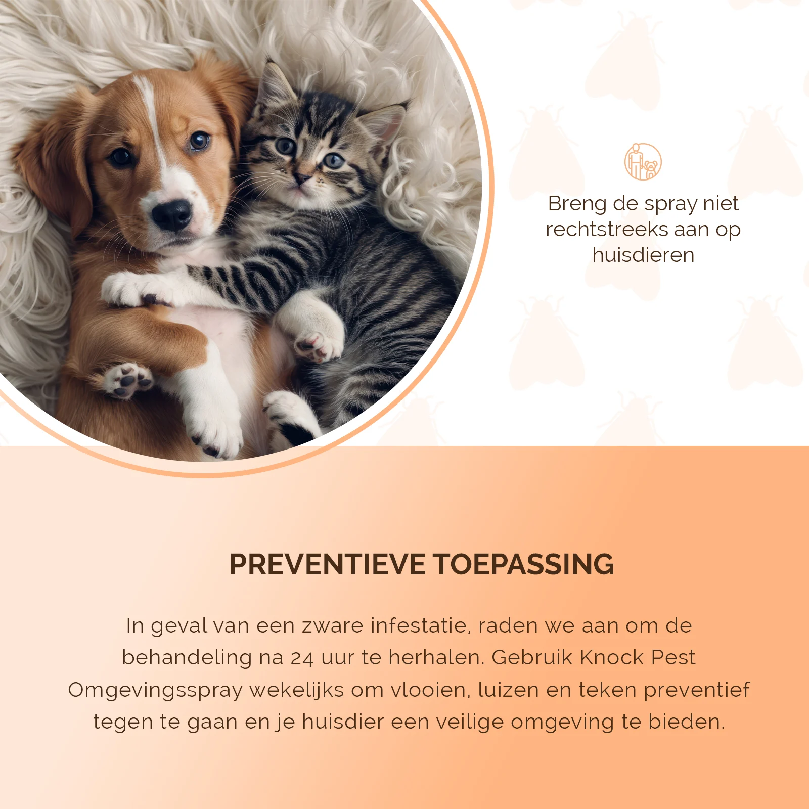 Spray ambientale contro pulci, pidocchi e zecche, 250 ml – Knock Pest Omgevingsspray - immagine 5