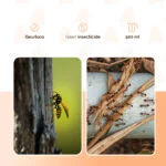 Spray congelante per insetti con due modalità di erogazione – Knock Pest Freeze It - immagine 3