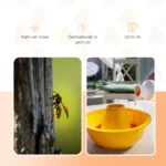 Attrattivo per trappole per vespe, 1 l – Knock Pest Wasp Bait (Wespentraktatie) - immagine 3