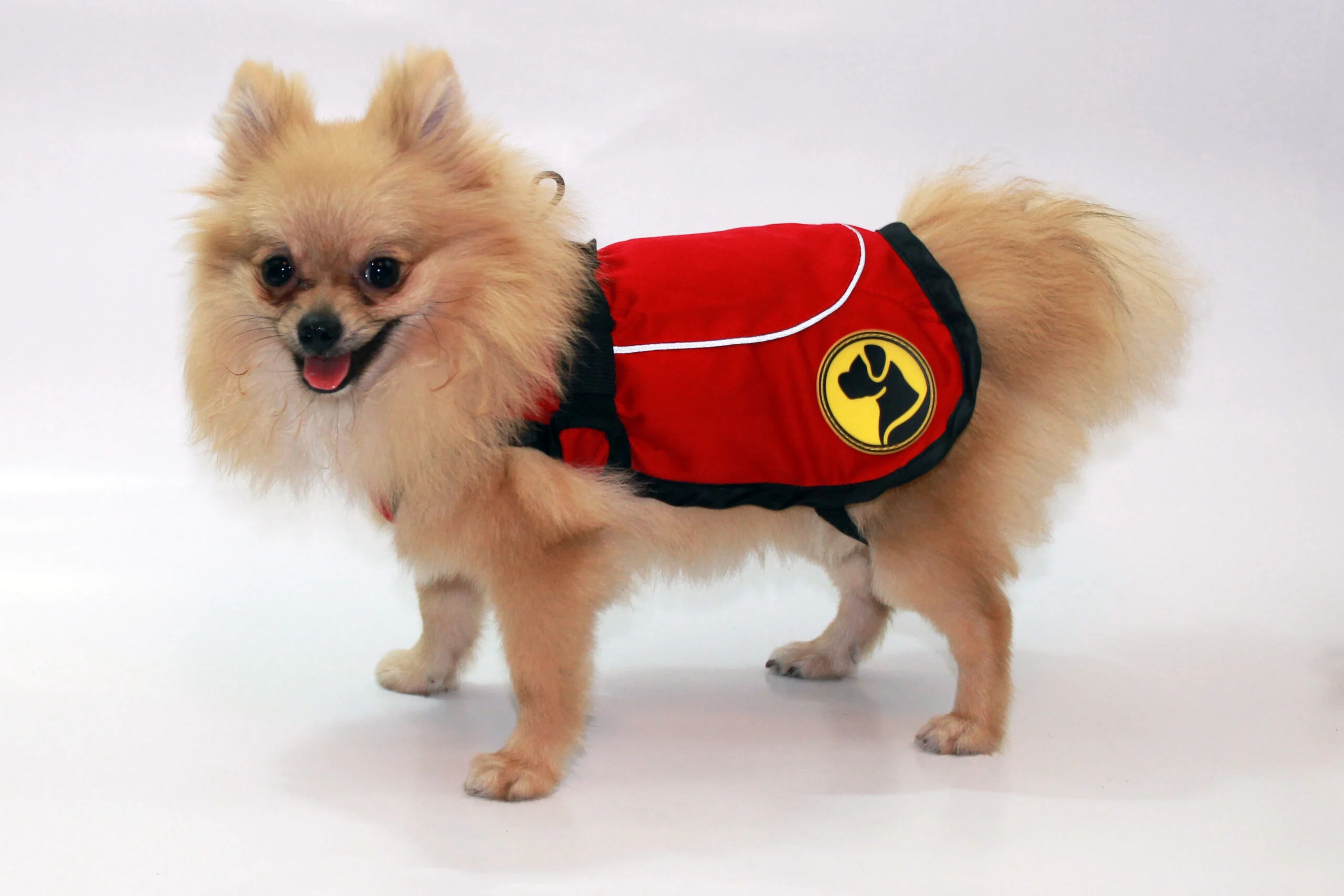 Giacca per cani contro zecche e pulci con catarifrangente, M, lunghezza del dorso 50 cm – Dog Armor Knockdown Coat (Insect Shield) - immagine 2