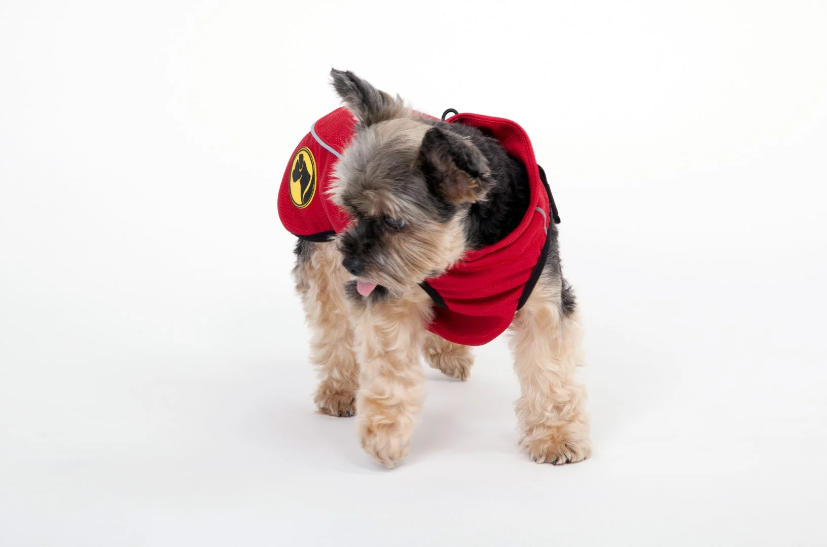 Mantellina per cani contro zecche e pulci con riflettore, XXXXS lunghezza del dorso 20 cm – Dog Armor Knockdown Coat (Insect Shield) - immagine 6