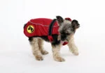 Mantellina per cani contro zecche e pulci con riflettore, XXXXS lunghezza del dorso 20 cm – Dog Armor Knockdown Coat (Insect Shield)