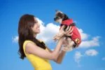 Mantellina per cani contro zecche e pulci con riflettore, XXXXS lunghezza del dorso 20 cm – Dog Armor Knockdown Coat (Insect Shield) - immagine 5