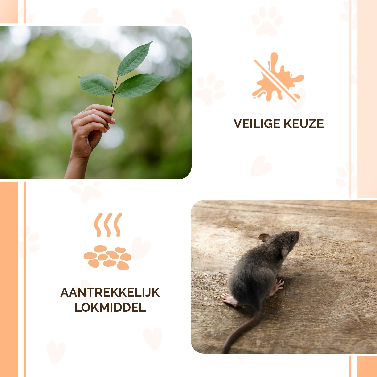 Pellet esca per topi e ratti, 50 g – Knock Pest Traktatie Pellets - immagine 4