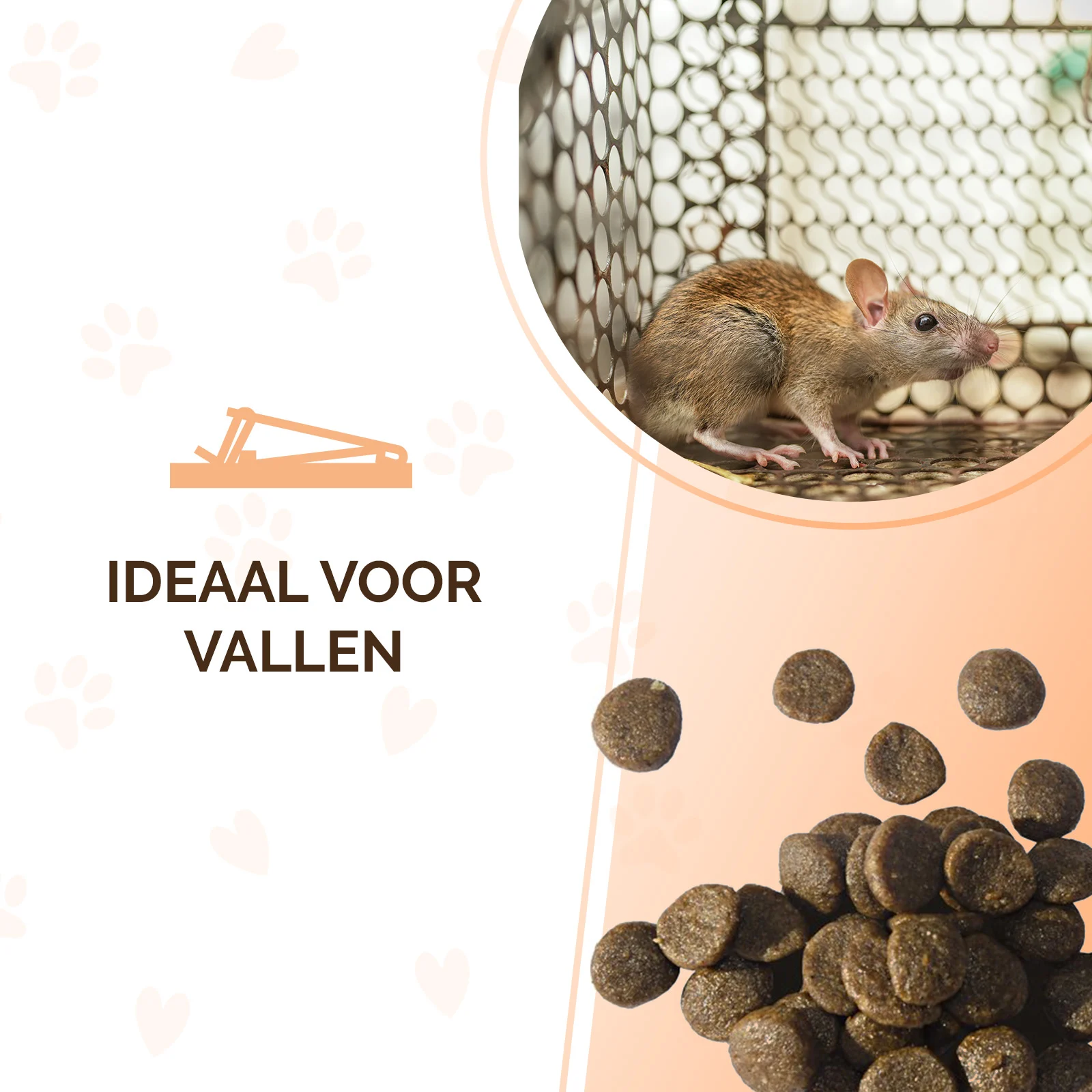 Pellet esca per topi e ratti, 50 g – Knock Pest Traktatie Pellets - immagine 5