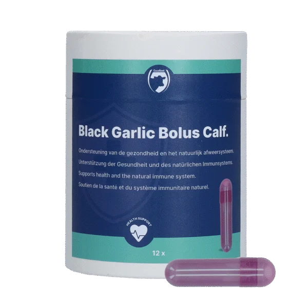 Bolo all’aglio per vitelli con ginseng e cicoria – Excellent Black Garlic Bolus Kalf